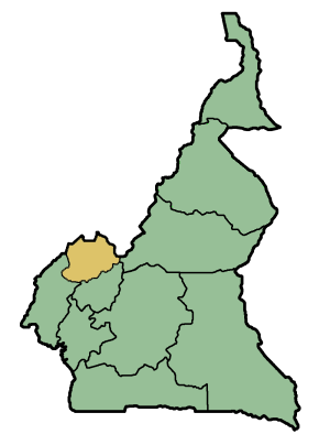 Développeur Web Bamenda | Région du Nord-Ouest (Cameroun)