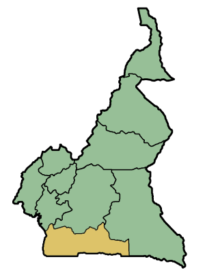 Développeur Web à Ebolowa | Région du Sud (Cameroun)