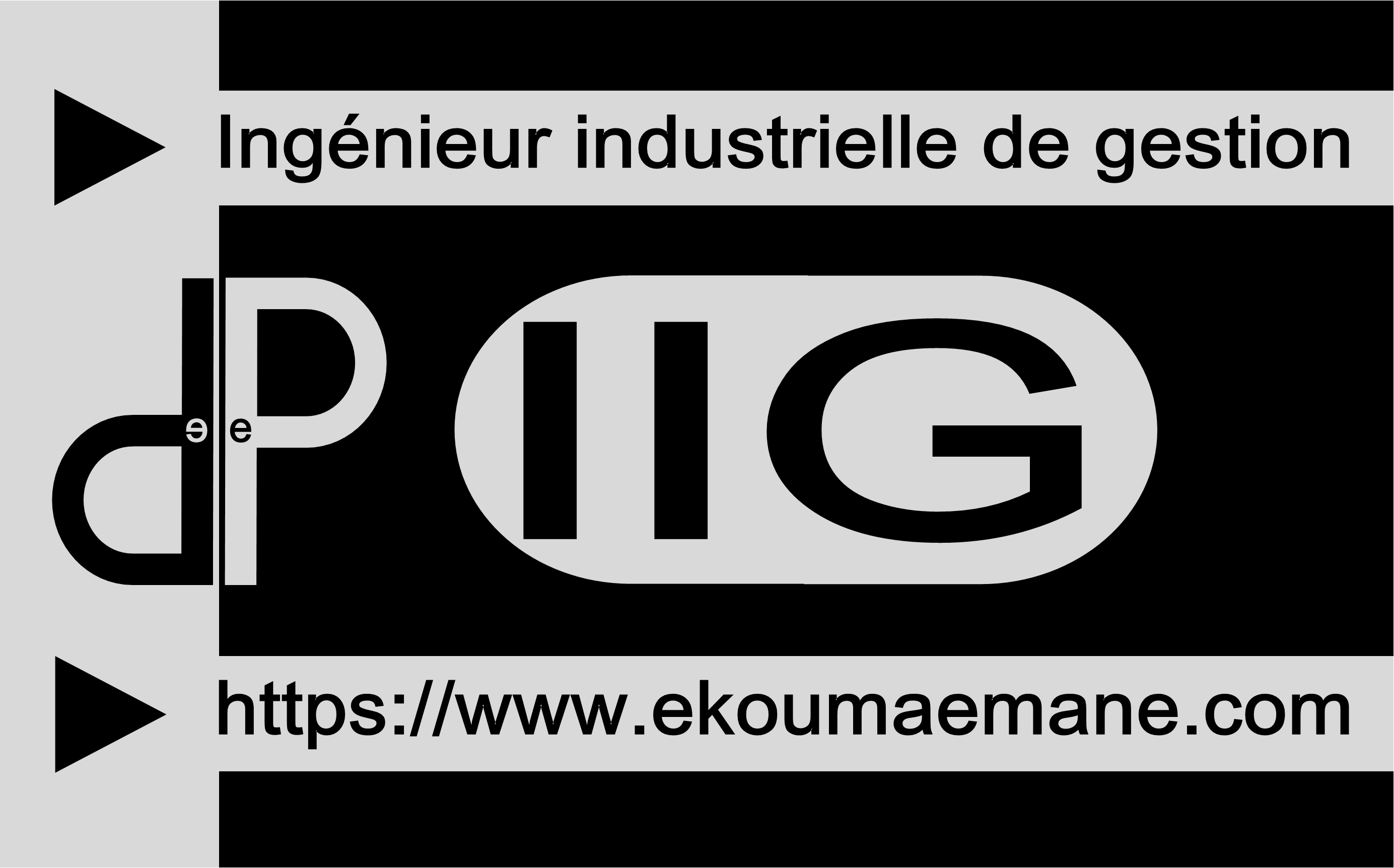 Ingénieur industrielle de gestion | Industrialisation de produit