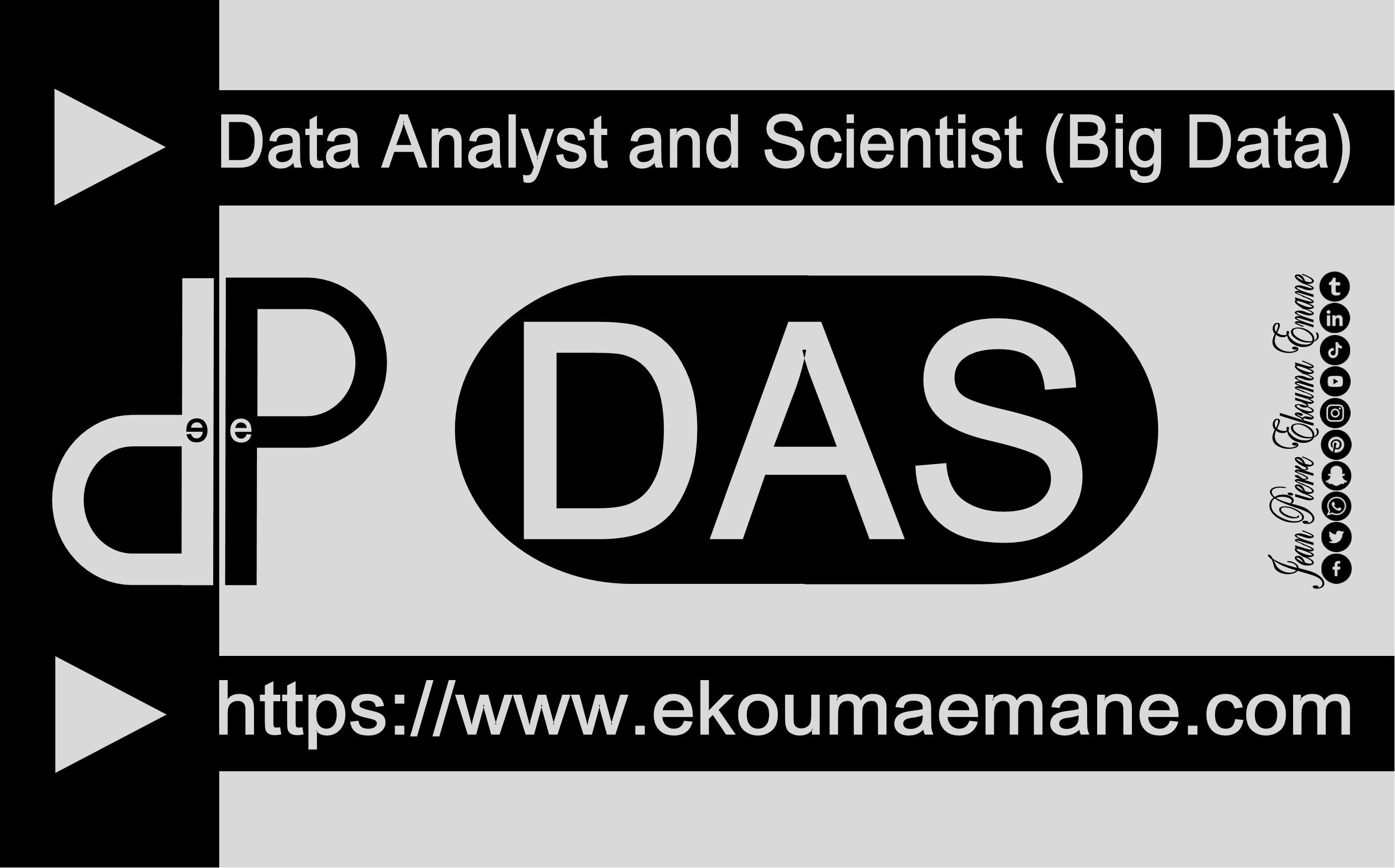 Data analyst / Data scientist | Gestion et l’analyse de Big data