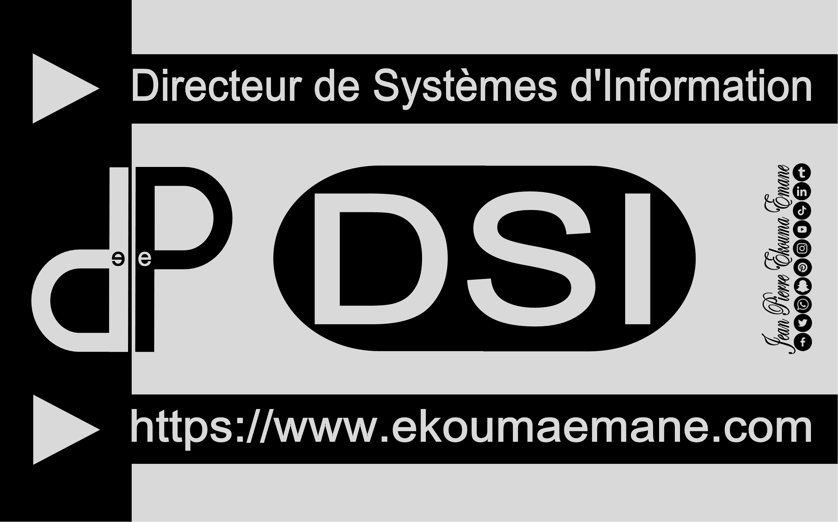 Directeur de Système Information (DSI) Conçoit et Superviser 