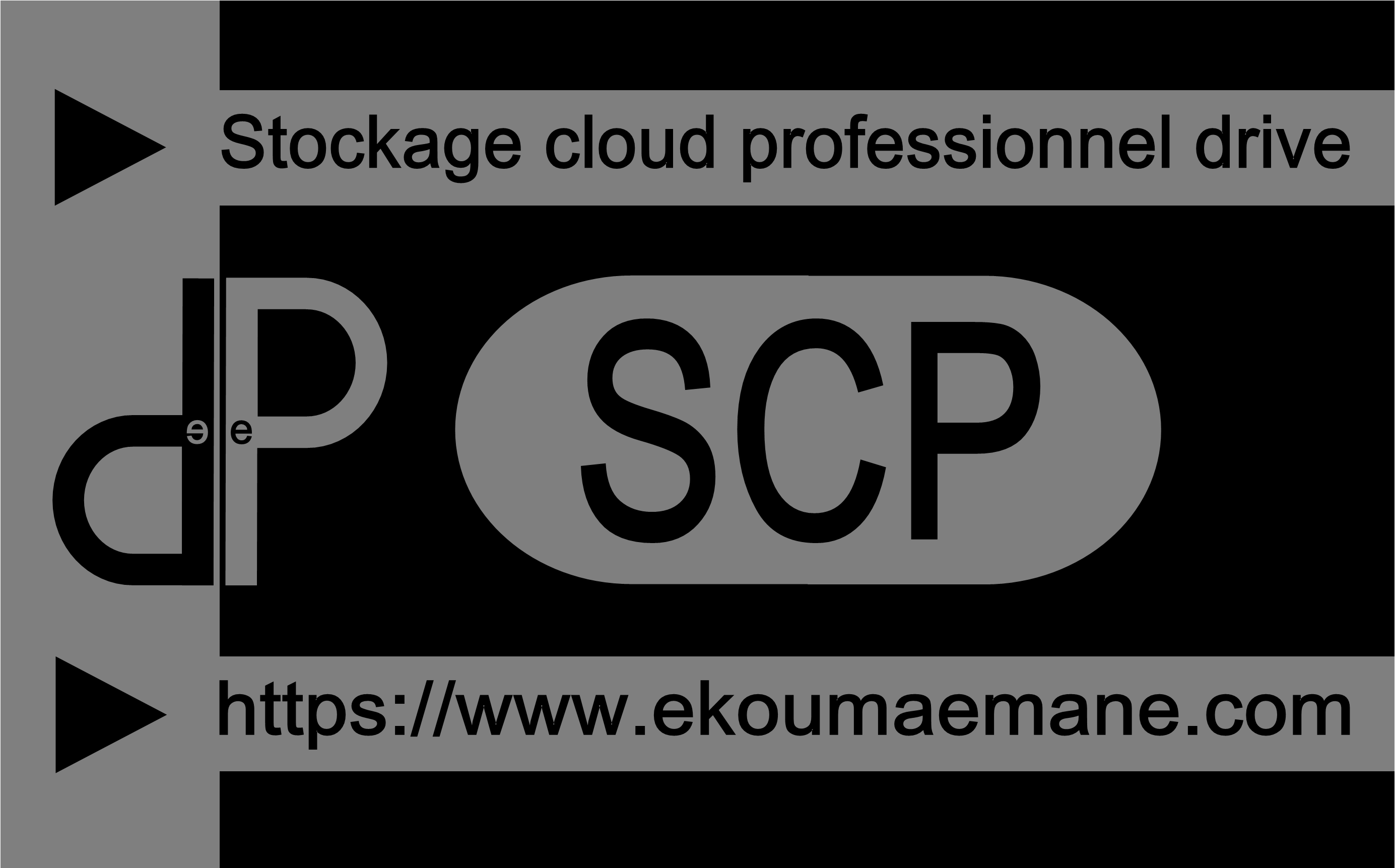 Stockage cloud professionnel | Cloud Drive Pro 5 To sécurisé