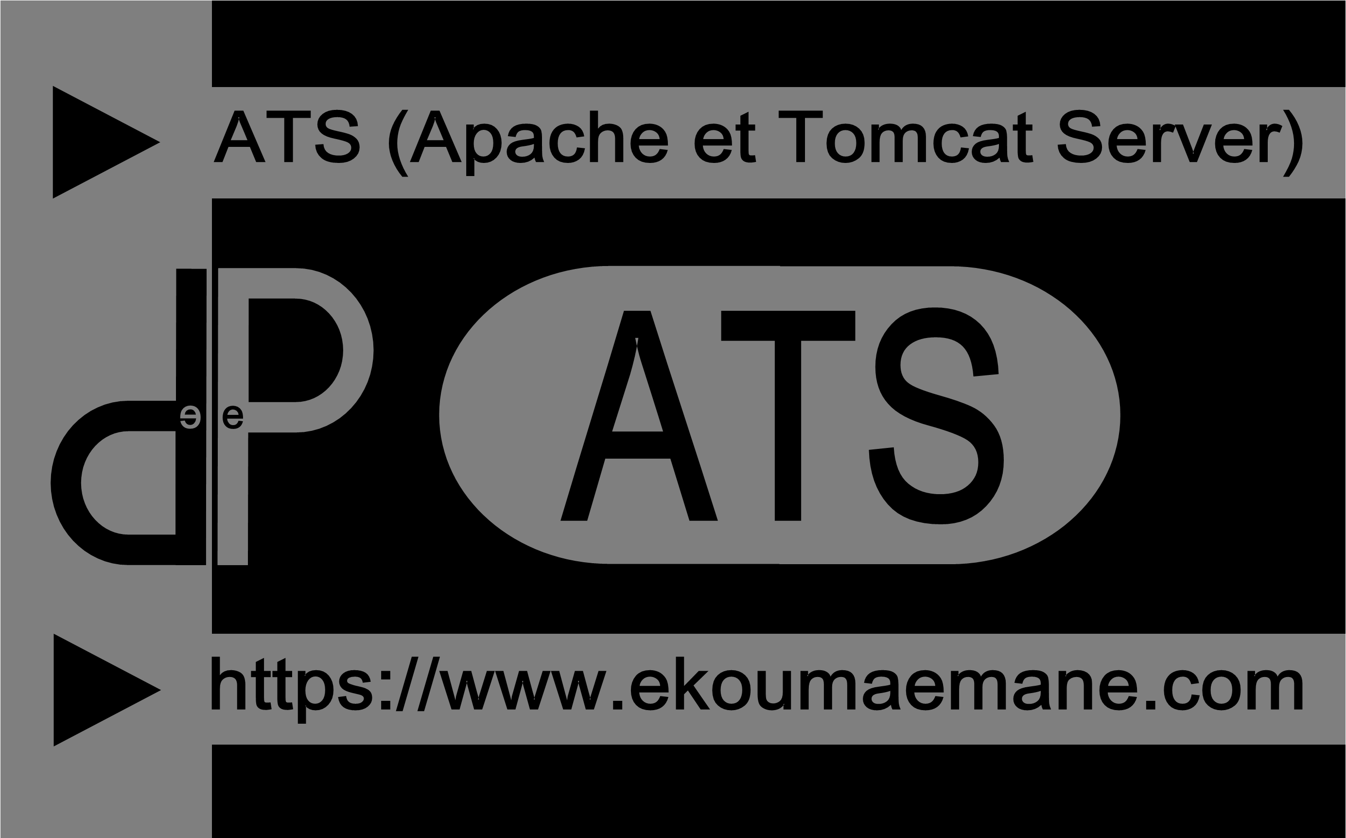 Apache Tomcat Web Server | Evolution de Apache pour J2EE