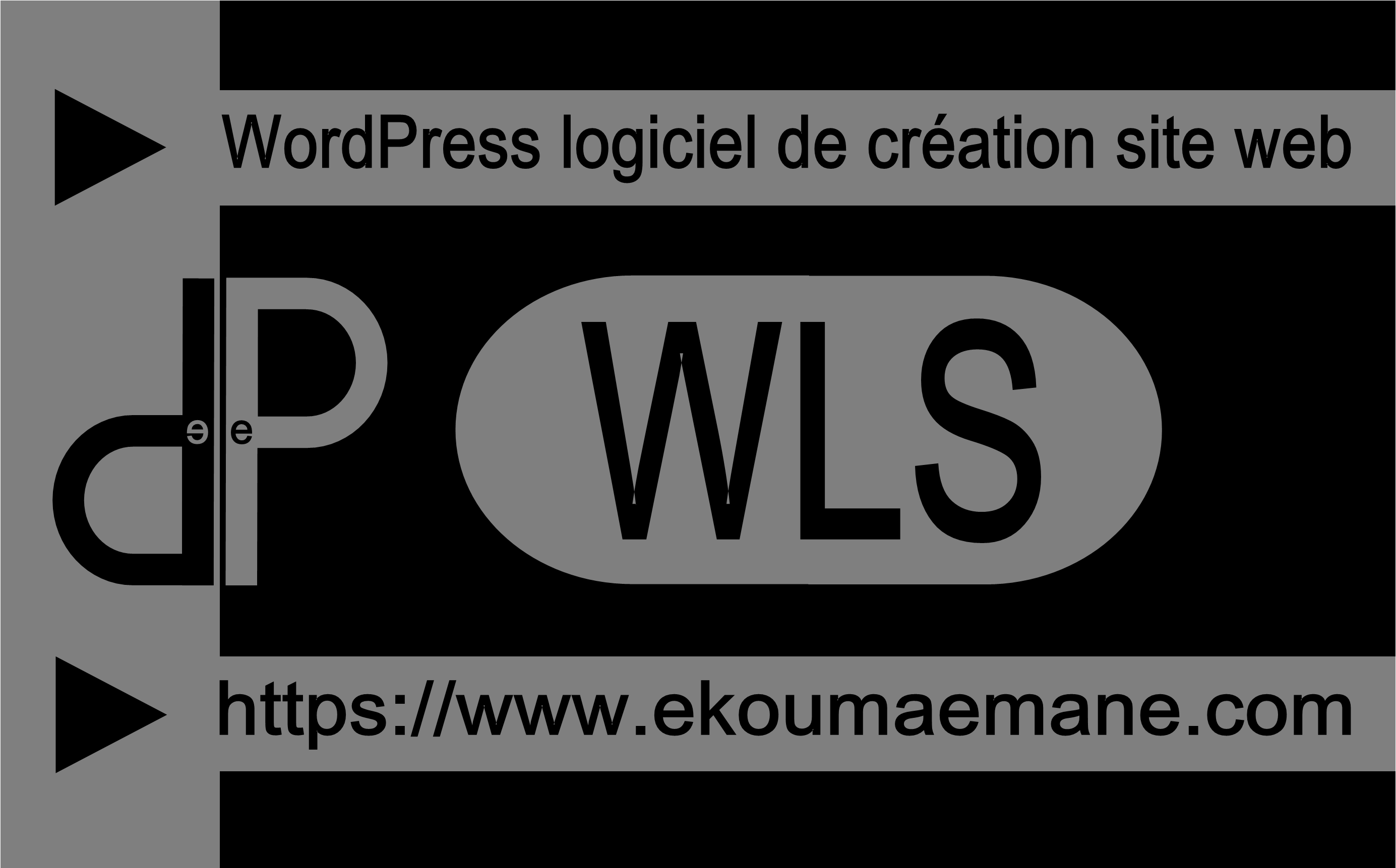 WordPress App Web | CMS (Content Management System)